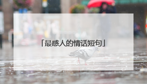 最感人的情话短句