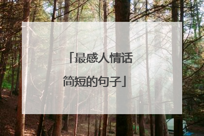 最感人情话简短的句子