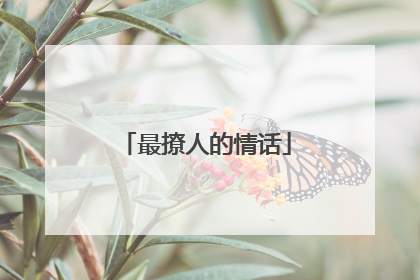 最撩人的情话