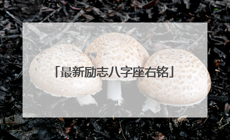 最新励志八字座右铭