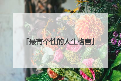 最有个性的人生格言