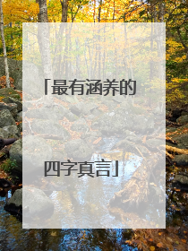 最有涵养的四字真言