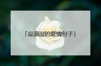 最浪漫的爱情句子
