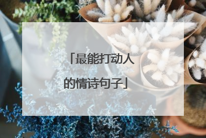 最能打动人的情诗句子