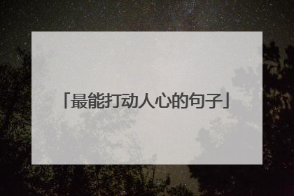 最能打动人心的句子