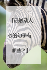 最触动人心的句子有哪些?