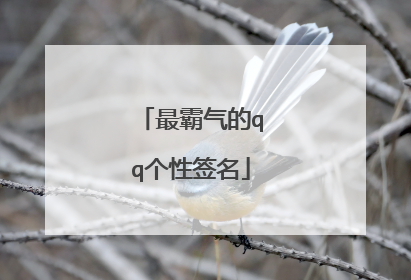 最霸气的qq个性签名