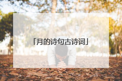 月的诗句古诗词