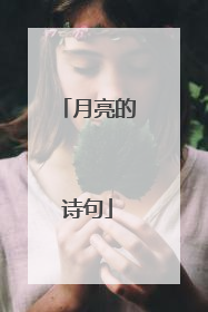 月亮的诗句
