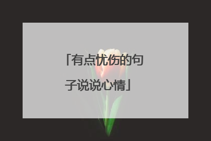 有点忧伤的句子说说心情