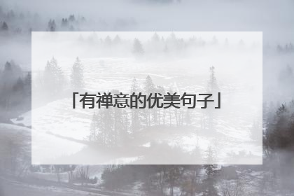 有禅意的优美句子