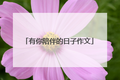 有你陪伴的日子作文