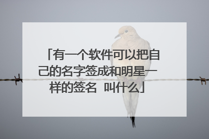 有一个软件可以把自己的名字签成和明星一样的签名 叫什么