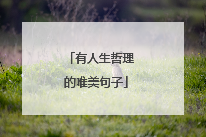有人生哲理的唯美句子