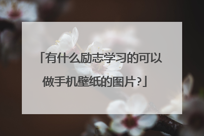 有什么励志学习的可以做手机壁纸的图片?
