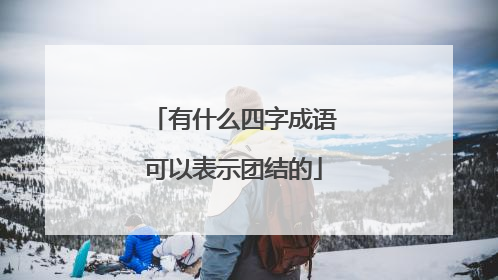 有什么四字成语可以表示团结的