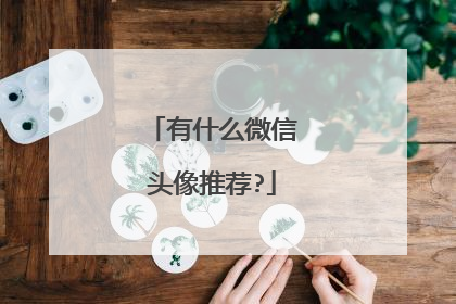 有什么微信头像推荐?