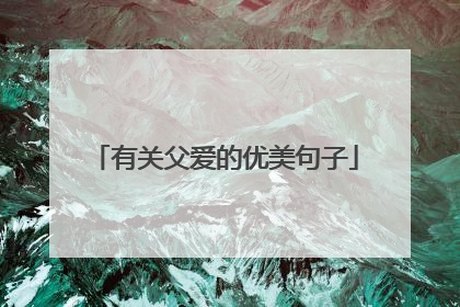 有关父爱的优美句子