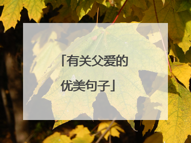 有关父爱的优美句子