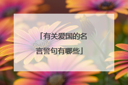 有关爱国的名言警句有哪些