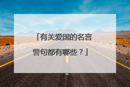 有关爱国的名言警句都有哪些?