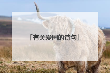 有关爱国的诗句