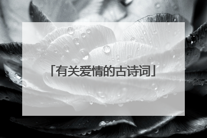 有关爱情的古诗词