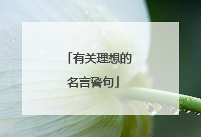 有关理想的名言警句