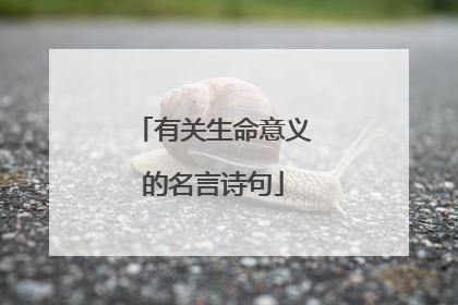 有关生命意义的名言诗句