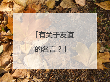 有关于友谊的名言?