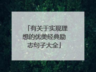 有关于实现理想的优美经典励志句子大全