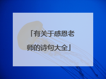 有关于感恩老师的诗句大全