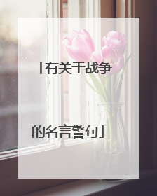 有关于战争的名言警句