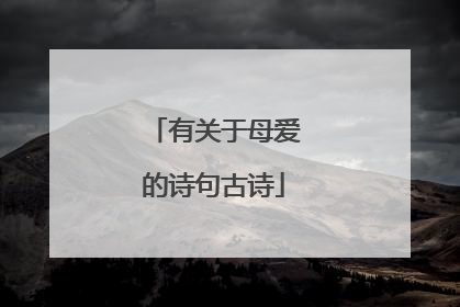 有关于母爱的诗句古诗
