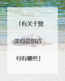 有关于赞美母爱的诗句有哪些