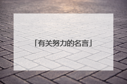 有关努力的名言