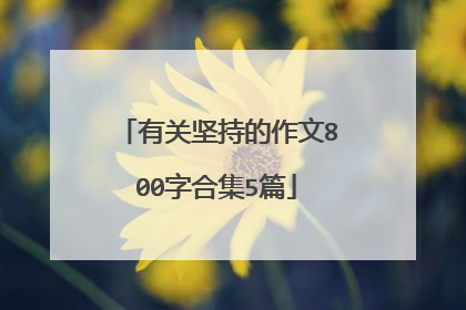 有关坚持的作文800字合集5篇
