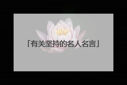 有关坚持的名人名言