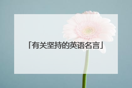 有关坚持的英语名言