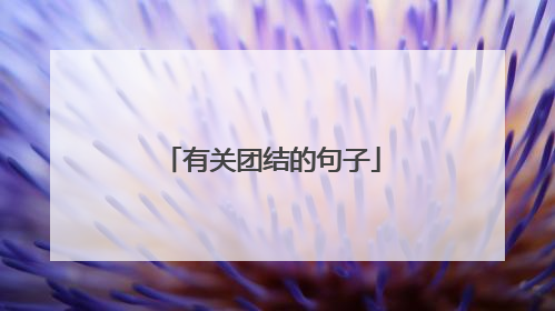有关团结的句子