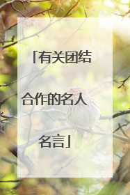 有关团结合作的名人名言