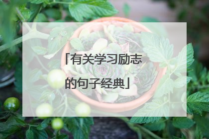 有关学习励志的句子经典