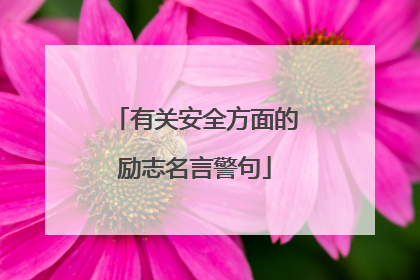 有关安全方面的励志名言警句