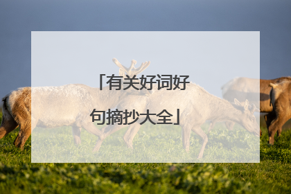 有关好词好句摘抄大全