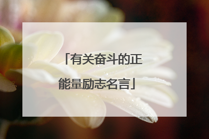 有关奋斗的正能量励志名言