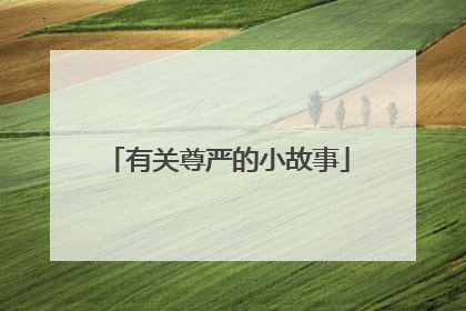 有关尊严的小故事