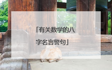 有关数学的八字名言警句