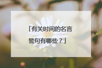 有关时间的名言警句有哪些?