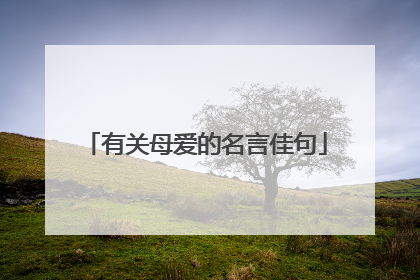 有关母爱的名言佳句
