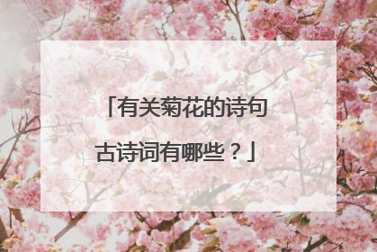 有关菊花的诗句古诗词有哪些?